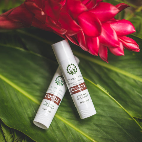 100% Natural Lip Balm made with Cocoa Butter and cold-pressed coconut oil without petroleum