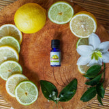 Lemon pure essential oil, natural, organic, citrus, peel, fresh, disinfect, antibacterial, aromatherapy, energizing, zing