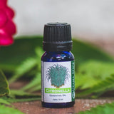 100% pure citronella essential oil for aromatherapy and topical application