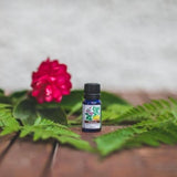 focus blend essential oil, essential oil for focusing, essential oil help, how to use essential oil