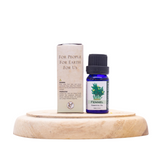 Fennel Essential Oil 10ml
