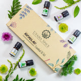 essential oil Singapore, aromatherapy Singapore, essential oil gift set, essential oils, gift set Singapore, aromatherapy gift set, diffuser Singapore, diffuser,