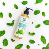 coconut oil, mint soap, liquid soap, soap, natural soap Singapore, soap Singapore, cleaning soap, all natural soap, chemical free soap, chemical free soap Singapore, sulphate free soap, sulfate free soap,