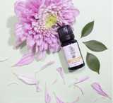 Zingiber Offcinale (ginger) Root Oil, ginger essential oil, ginger oil singapore. diffusion oil, aromatherapy singapore,