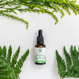Tamanu Oil Singapore. Calophyllum Inophyllum (Tamanu) Seed Oil, hydrating oil Singapore, face oil Singapore, body oil Singapore