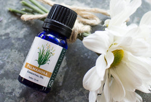 Bring Essential Oils into your life!