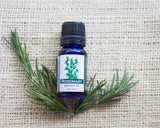 pure rosemary essential oil, pure oil, aromatherapy oil 